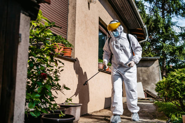 Best Pest Prevention Services  in Des Peres, MO