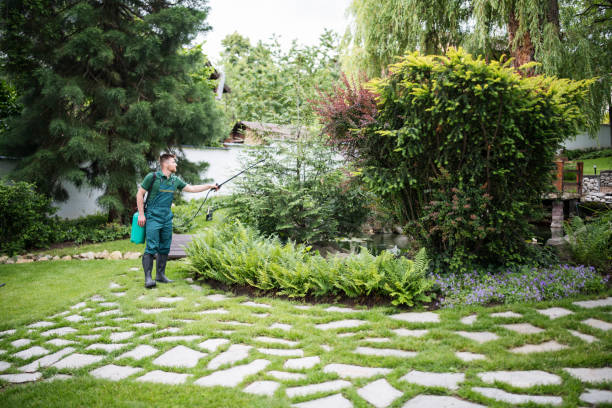 Professional Pest Control in Des Peres, MO