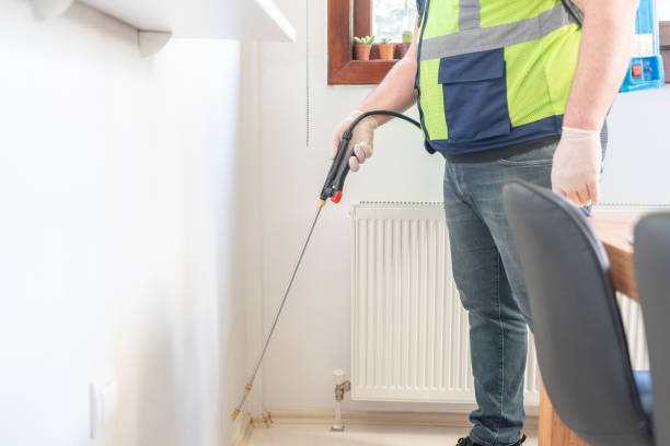 Best Emergency Pest Control  in Des Peres, MO