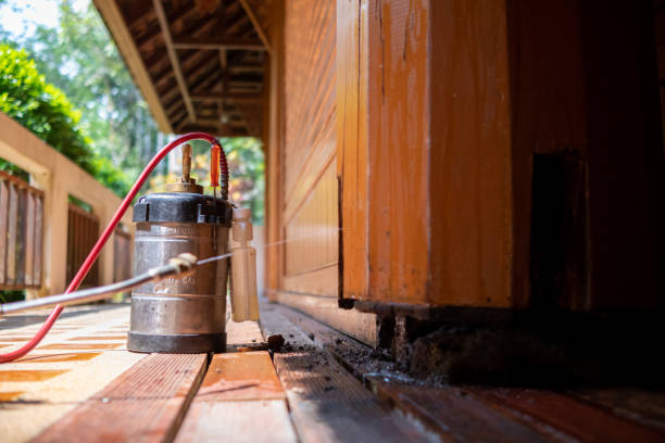 Best Pest Removal Services  in Des Peres, MO