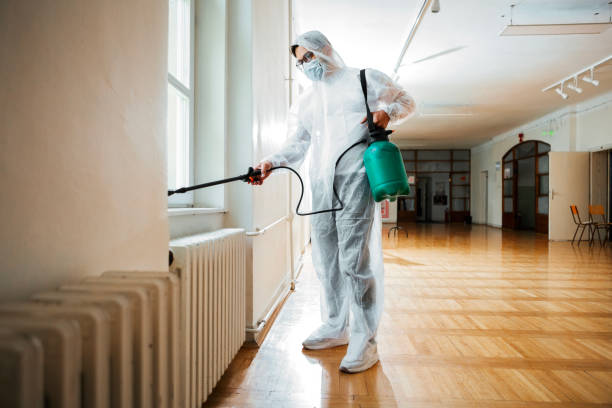 Best Residential Pest Control  in Des Peres, MO