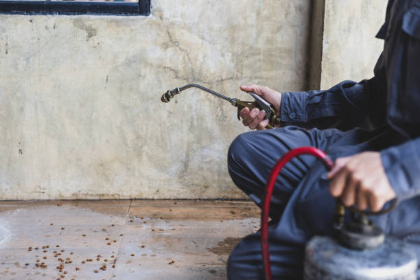 Best Pest Control Treatment  in Des Peres, MO
